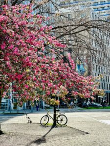 Best Places to Visit in Europe in May: Explore the Beauty of Springtime Adventures